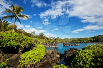 Beautiful tropical landscapes on Maui island, Hawaii