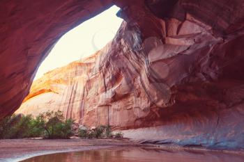 Golden Cathedral in Neon Canyon, Escalante National Park, Utah