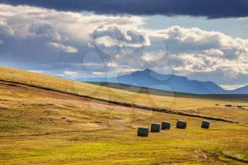 Hays in a green fields.Rural natural landscapes background