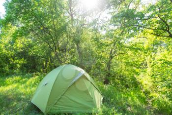 Tent in the green spring forest