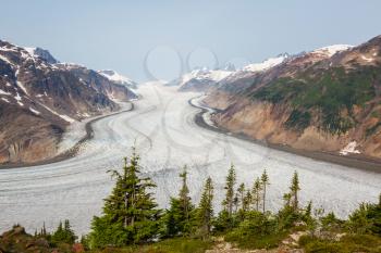 Salmon glacier in Stewart, Canada