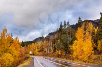 Colorful Autumn scene on countryside road in the sunny morning