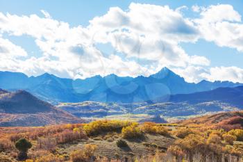 Colorful yellow autumn in Colorado, United States. Fall season.