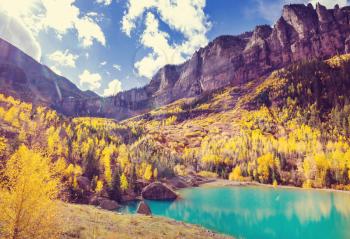 Colorful yellow autumn in Colorado, United States. Fall season.