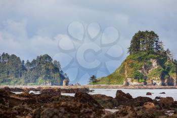 Scenic and rigorous Pacific coast in the Olympic National Park, Washington, USA. Rocks in the ocean and large logs on the beach.