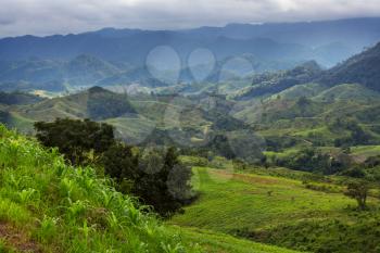 Summer green hills  in Mexico