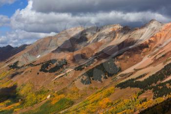 Colorful yellow autumn in Colorado, United States. Fall season.