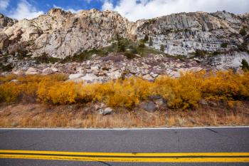 Colorful Autumn scene on countryside road in the forest