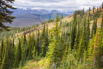 Picturesque mountain view in the Canadian Rockies in summer season