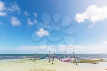 Tropical paradise beach with palm trees and traditional braided hammock