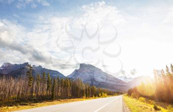 Highway in Canadian forest at summer season