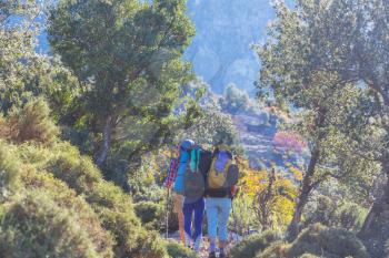 Group of backpackers hiking in mountains outdoor active lifestyle travel adventure vacations journey  freedom Summer landscape Hike concept