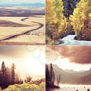 Orange and Yellow Autumn collage. Fall background.