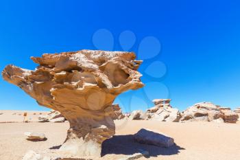 Arbol de piedra - Stone tree rock formation in Bolivia (Arbol de Piedra) of the Uyuni Salt Flat, South America