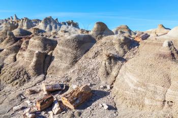 Unusual desert landscapes in Bisti badlands, De-na-zin wilderness area, New Mexico, USA