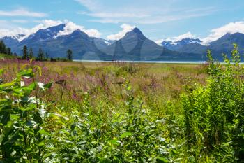 Picturesque Mountains of Alaska in summer. Snow covered massifs, glaciers and rocky peaks. Beautiful natural background.