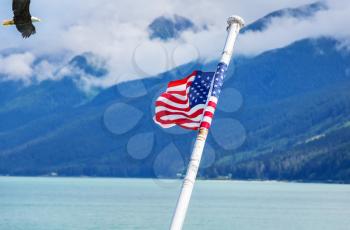 American flags and american eagle on Alaska,  good for national concept