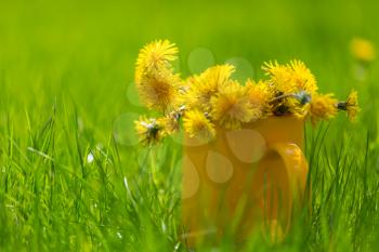 Blowball in Spring sunny meadow. Natural summer background.