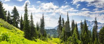 Beautiful mountain peak in  North Cascade Range, Washington,  USA