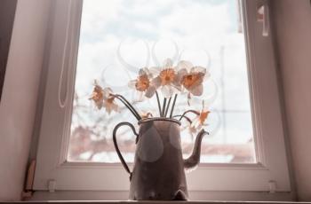 Daffodils in an old teapot on the window