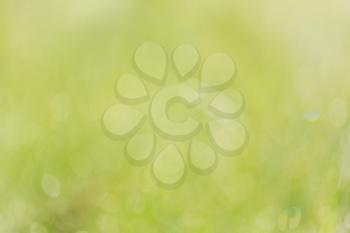 Abstract green blur texture. Good for background or wallpaper. Abstract Blurred Light Background