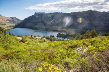 Serenity lake in the mountains in summer season. Beautiful natural landscapes.