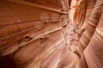 Slot canyon in Grand Staircase Escalante National park, Utah, USA. Unusual colorful sandstone formations in deserts of Utah are popular destination for hikers.