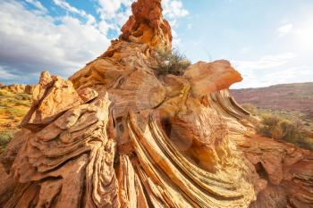 Coyote Buttes of the Vermillion Cliffs Wilderness Area, Utah and Arizona