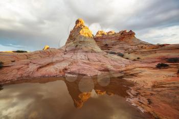 Coyote Buttes of the Vermillion Cliffs Wilderness Area, Utah and Arizona