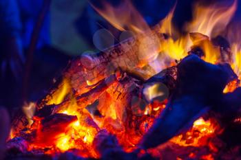 Bonfire in the fores. Camping scene.