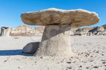 Unusual desert landscapes in Bisti badlands, De-na-zin wilderness area, New Mexico, USA