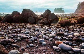 Scenic and rigorous Pacific coast in the Olympic National Park, Washington, USA. Rocks in the ocean and large logs on the beach.