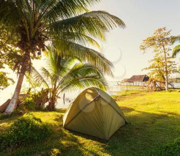 tent on green grassland