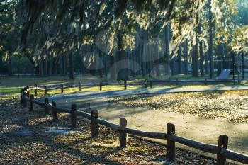 Trees tunnel -Botany Bay,South Carolina