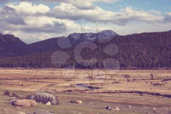 American landscapes