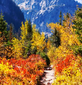  Autumn in Grand Teton National Park, Wyoming