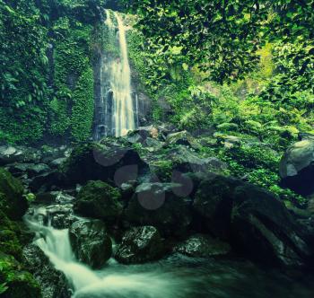 Waterfall in Indonesian jungle