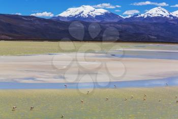 High mountains in Bolivia