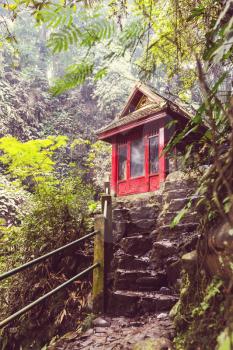 Trail to waterfall in Indonesian jungle