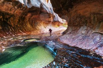 Narrows in Zion National Park, Utah