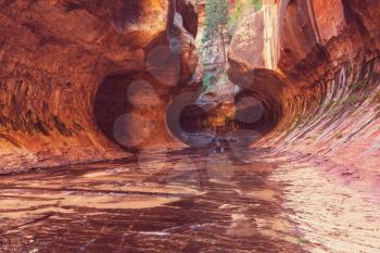 Narrows in Zion National Park, Utah