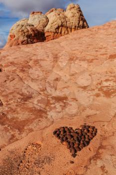 Vermilion Cliffs National Monument Landscapes at sunrise