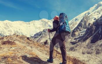 Hiker in Himalayas mountain. Nepal