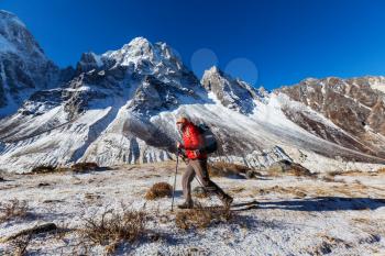 Hiker in Himalayas mountain. Nepal