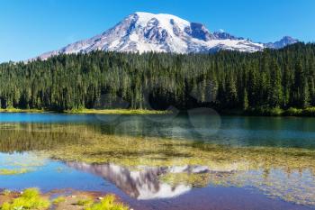 Mount Rainier national park, Washington