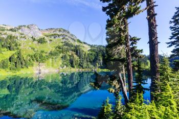 Twin lakes in Mt.Baker Recreational Area,Washington, USA