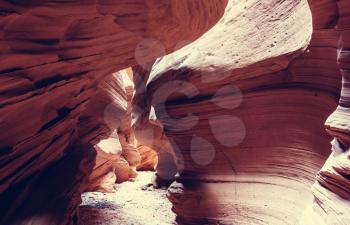 Slot canyon in Grand Staircase Escalante National park, Utah, USA. Unusual colorful sandstone formations in deserts of Utah are popular destination for hikers.