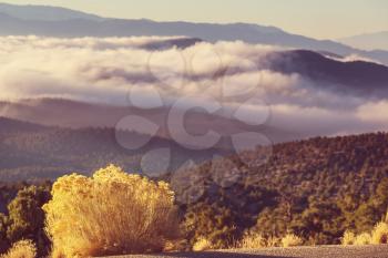 Picturesque mountain landscape on sunny day in Summer time. Good for natural background.