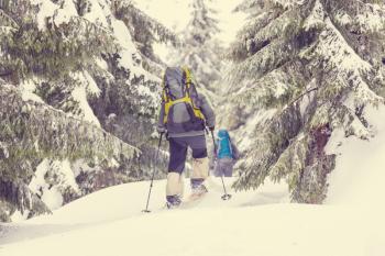 Hikers in the winter mountains