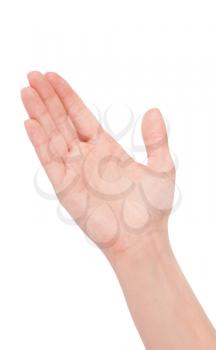 Royalty Free Photo of a Woman's Hand